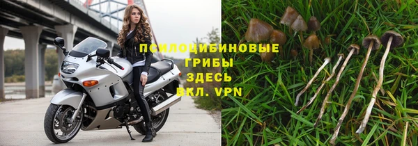 наркотики Белокуриха
